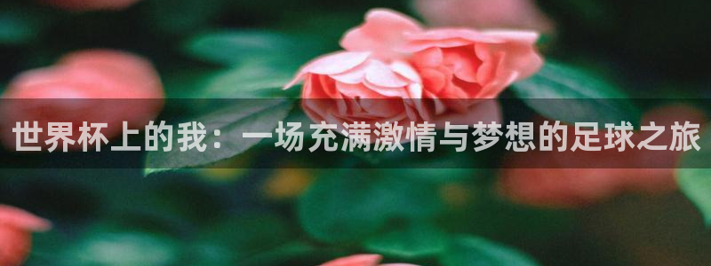 世界杯预选赛2026：世界杯上的我：一场充满激情与梦想的足球之旅