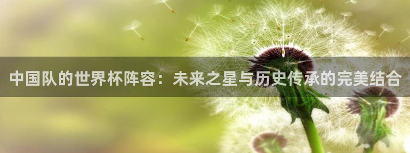 世界杯对阵表：中国队的世界杯阵容：未来之星与历史传承的完美结合