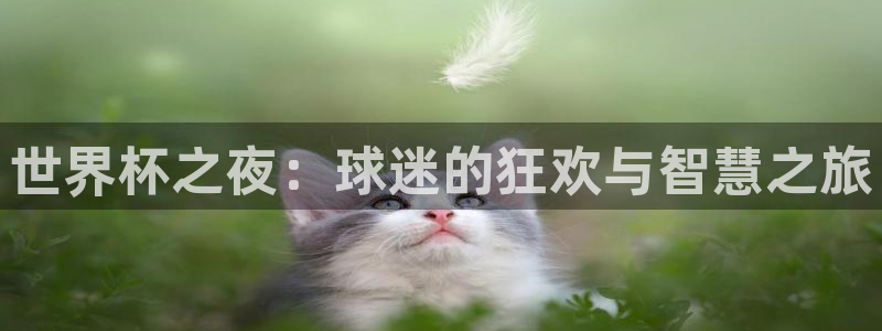世界杯官网入口：世界杯之夜：球迷的狂欢与智慧之旅