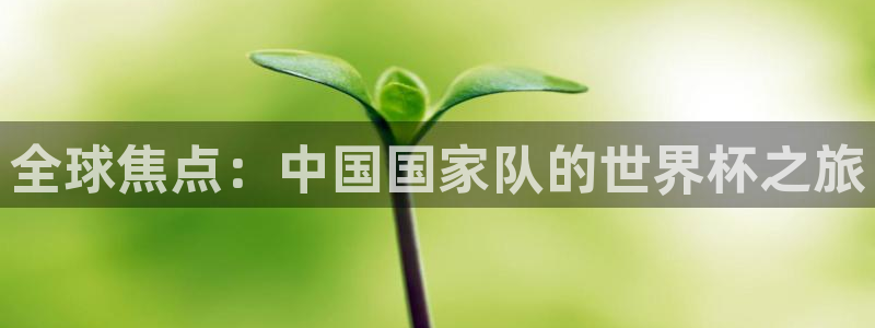 世界杯官网入口：全球焦点：中国国家队的世界杯之旅