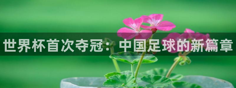 世界杯球队：世界杯首次夺冠：中国足球的新篇章