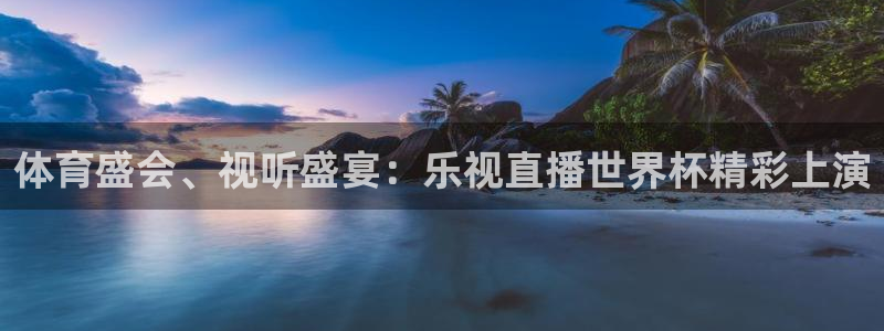 2026世界杯中国队：体育盛会、视听盛宴：乐视直播世界杯精彩上演