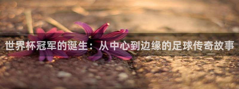 世界杯欧洲预选赛：世界杯冠军的诞生：从中心到边缘的足球传奇故事