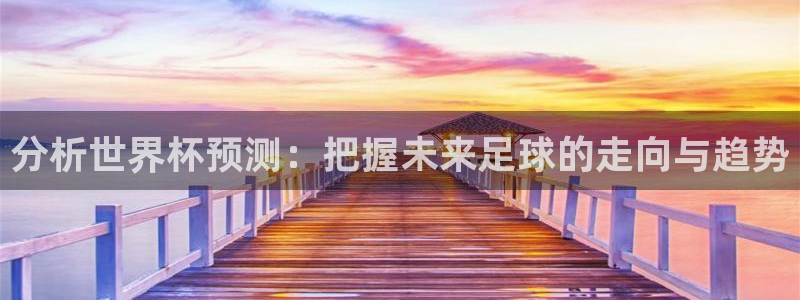 世界杯 直播：分析世界杯预测：把握未来足球的走向与趋势