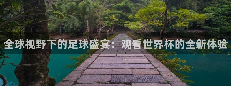 世界杯直播时间：全球视野下的足球盛宴：观看世界杯的全新体验