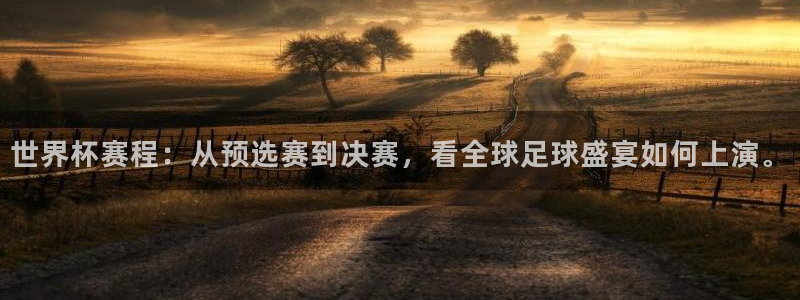 亚洲区世界杯预选赛：世界杯赛程：从预选赛到决赛，看全球足球盛宴如何上演。