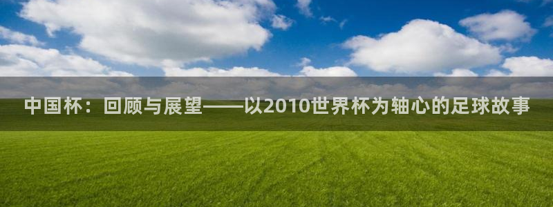 世界杯视频：中国杯：回顾与展望——以2010世界杯为轴心的足球故事