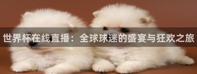 世预赛免费直播入口：世界杯在线直播：全球球迷的盛宴与狂欢之旅