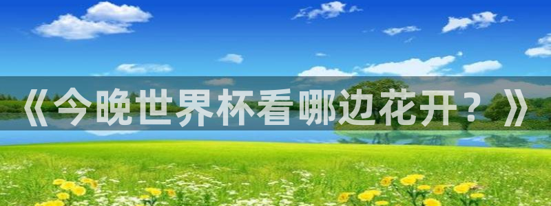 欧洲区世界杯预选赛：《今晚世界杯看哪边花开？》