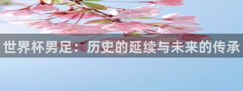 世界杯足球赛：世界杯男足：历史的延续与未来的传承